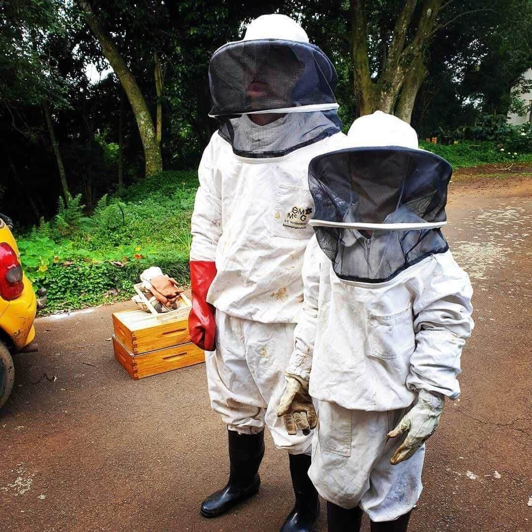 Bees--1--1.jpg